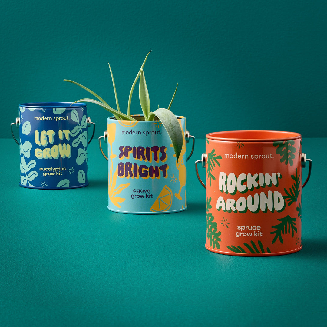 Complimentary Colors Grow Kits Modern Sprout Indoor Garden Kit Seasonal Mixed 3pk Complimentary Colors Grow Kits Bonjour Fete - Party Supplies