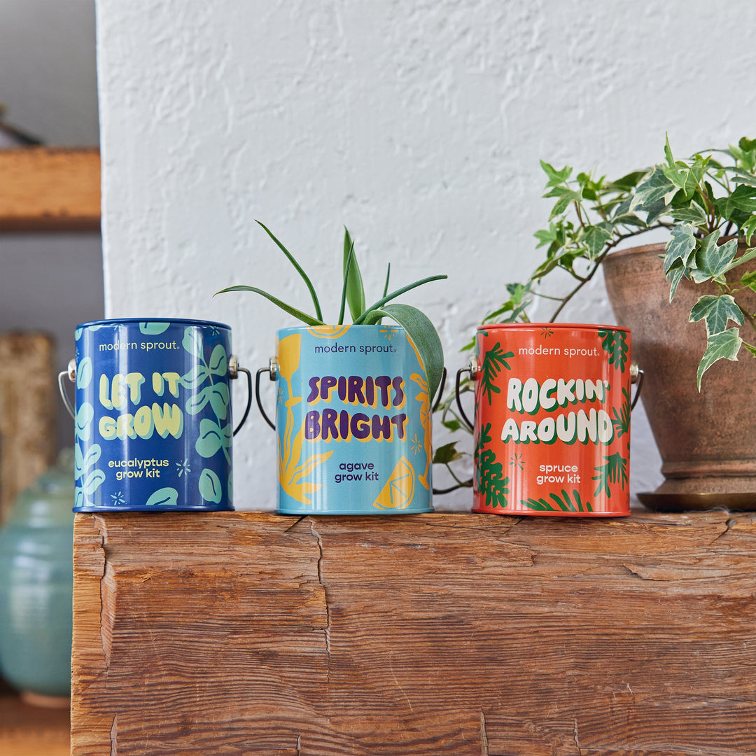 Seasonal Complimentary Colors Grow Kits Modern Sprout Indoor Garden Kit Seasonal Complimentary Colors Grow Kits Bonjour Fete - Party Supplies