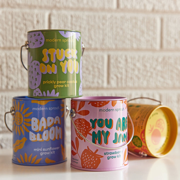 Complimentary Colors Grow Kits Modern Sprout Indoor Garden Kit Complimentary Colors Grow Kits Bonjour Fete - Party Supplies