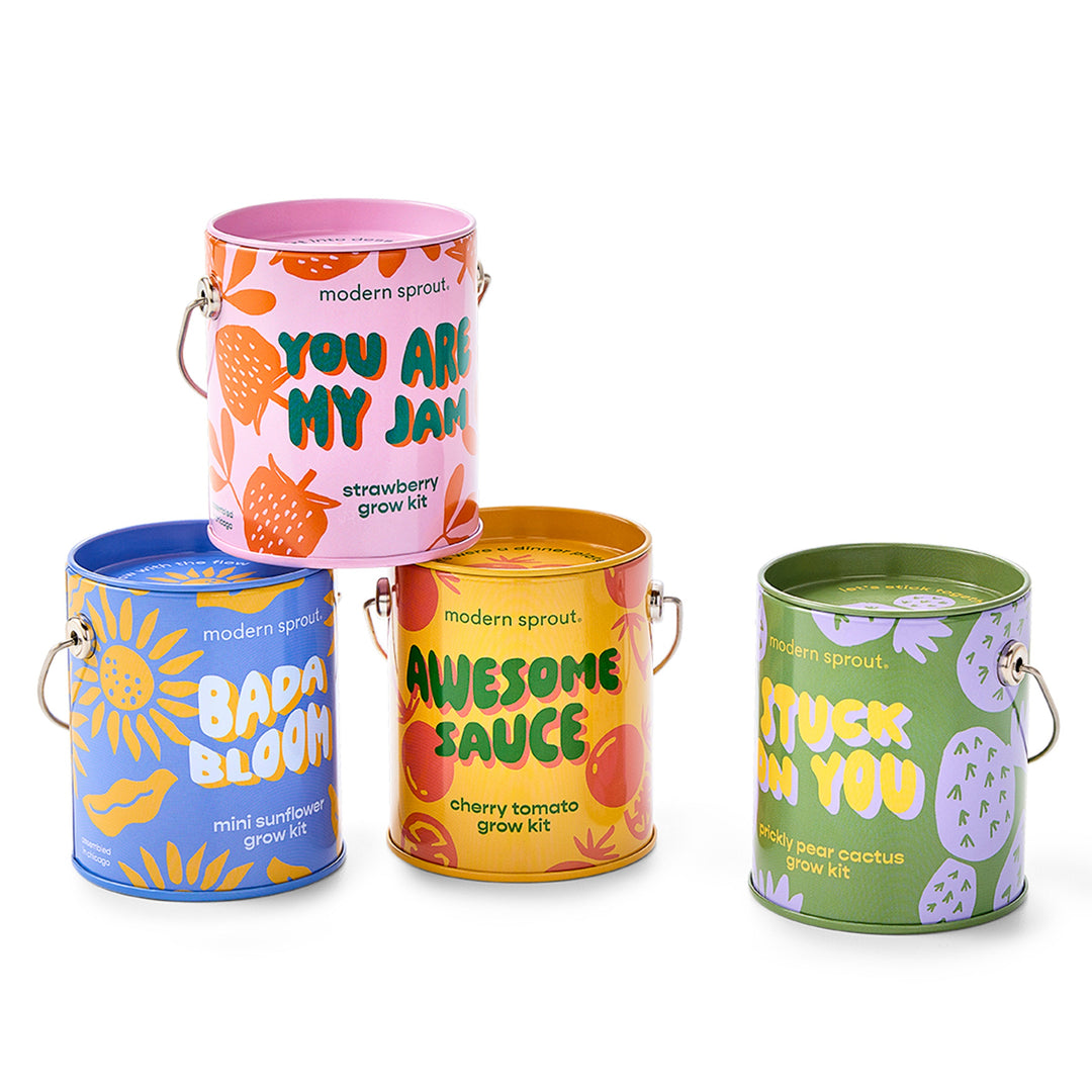 Complimentary Colors Grow Kits Modern Sprout Indoor Garden Kit Mixed 4pk Complimentary Colors Grow Kits Bonjour Fete - Party Supplies