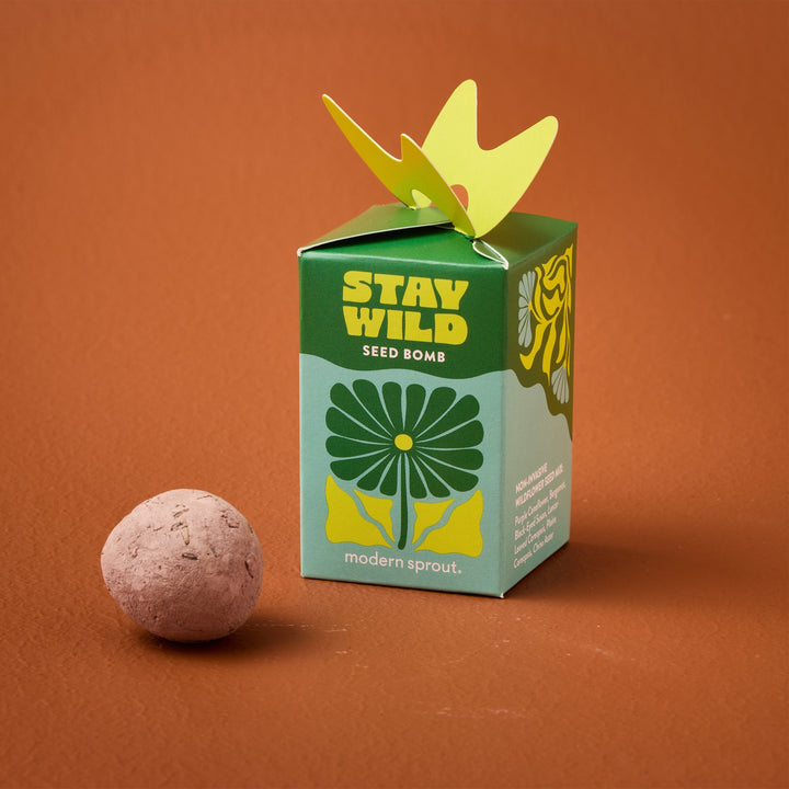 Seed Bombs Modern Sprout Playful Planting Seed Bombs Bonjour Fete - Party Supplies
