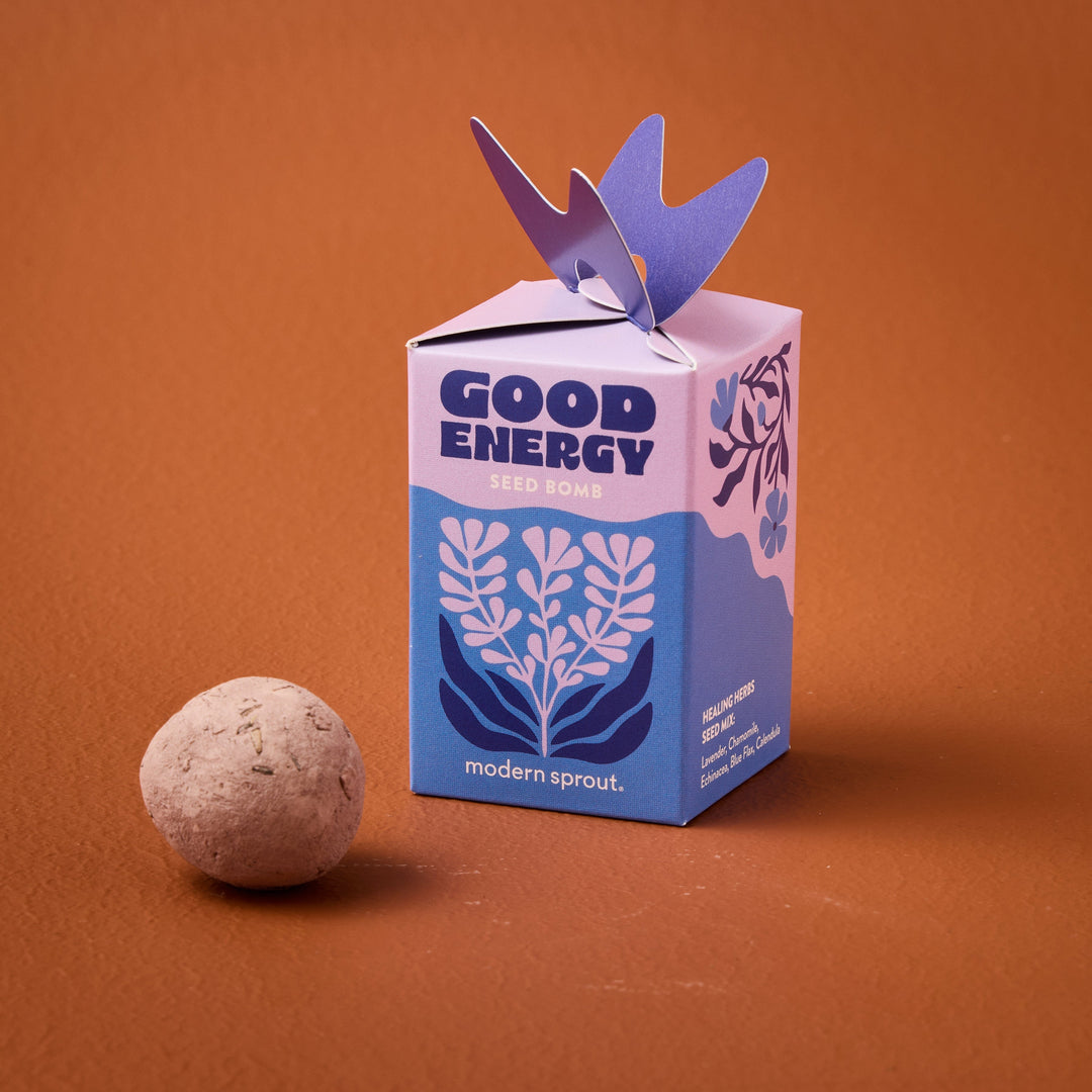 Seed Bombs Modern Sprout Playful Planting Seed Bombs Bonjour Fete - Party Supplies
