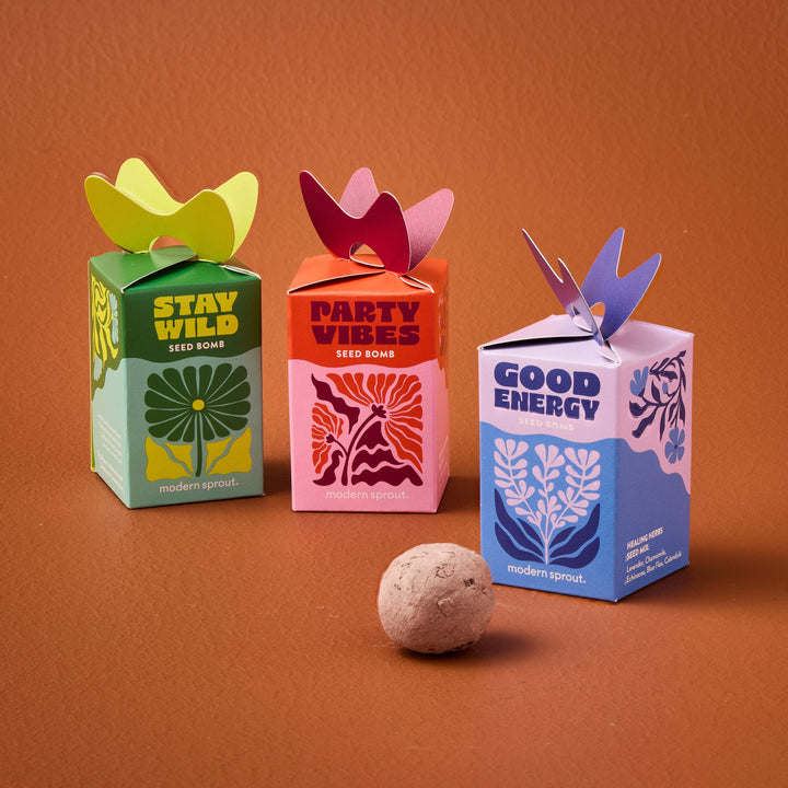 Seed Bombs Modern Sprout Playful Planting Seed Bombs Bonjour Fete - Party Supplies