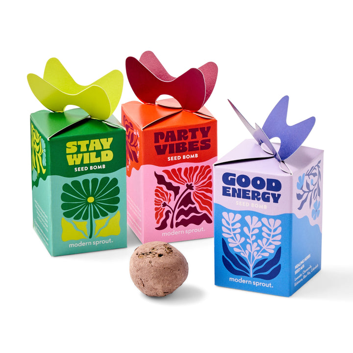 Seed Bombs Modern Sprout Playful Planting Seed Bombs Bonjour Fete - Party Supplies