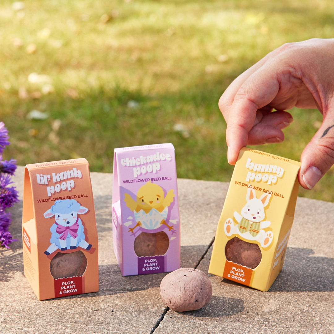 Easter Plops Modern Sprout Playful Planting Easter Plops Bonjour Fete - Party Supplies