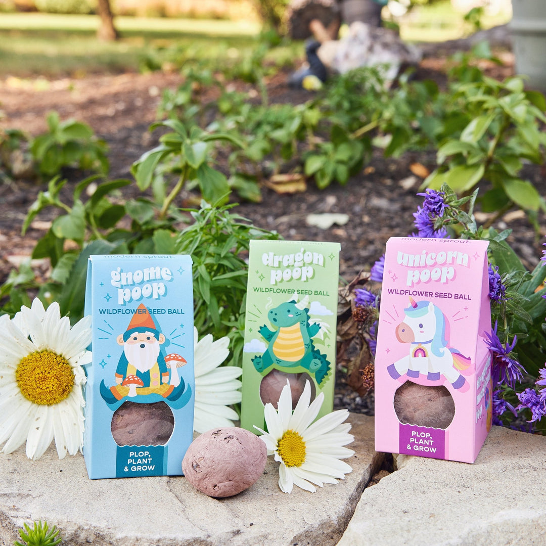 wildflower seed party favor MAGICAL WILDFLOWER SEED BALL – Bonjour Fête