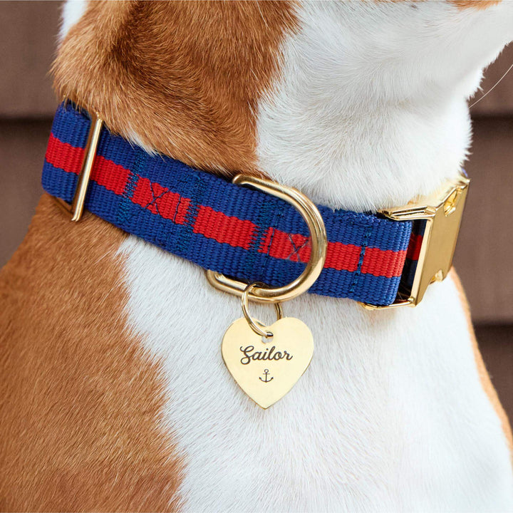 Dog wearing the Mariner striped collar with a nautical anchor charm