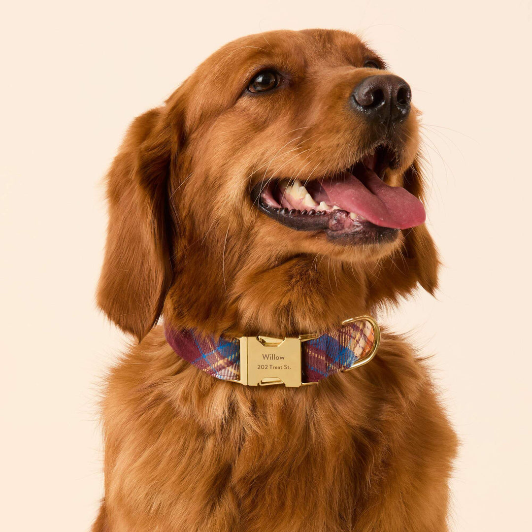 Marlow Plaid Flannel Dog Collar