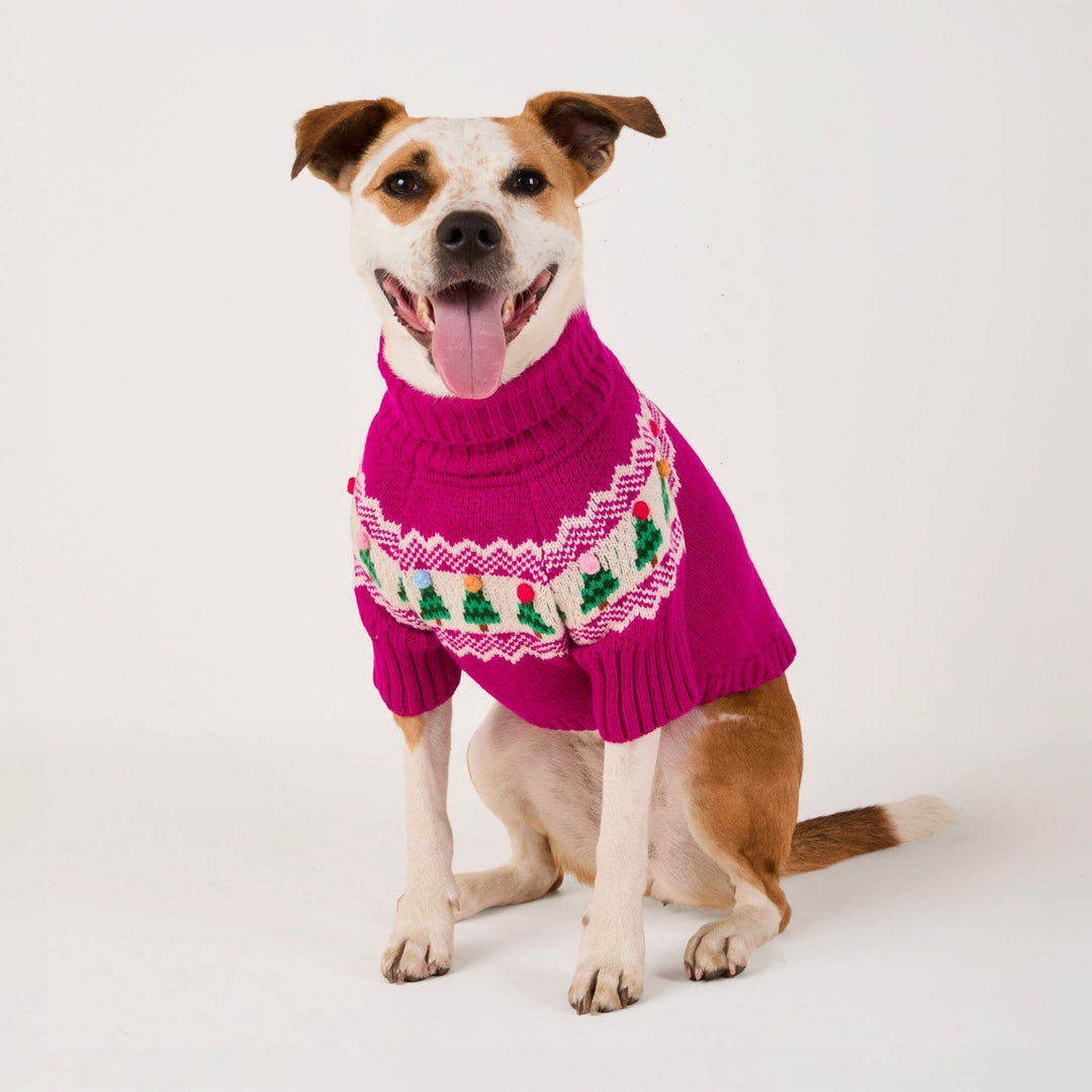 Brown-and-white dog facing forward in a magenta Fair Isle sweater with green trees.