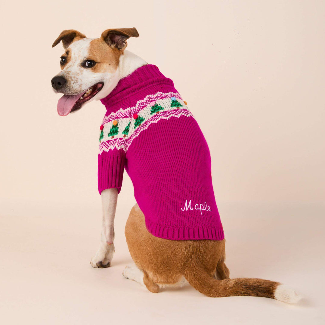 Rear view of a seated dog wearing a magenta Christmas sweater with embroidered name on its back.