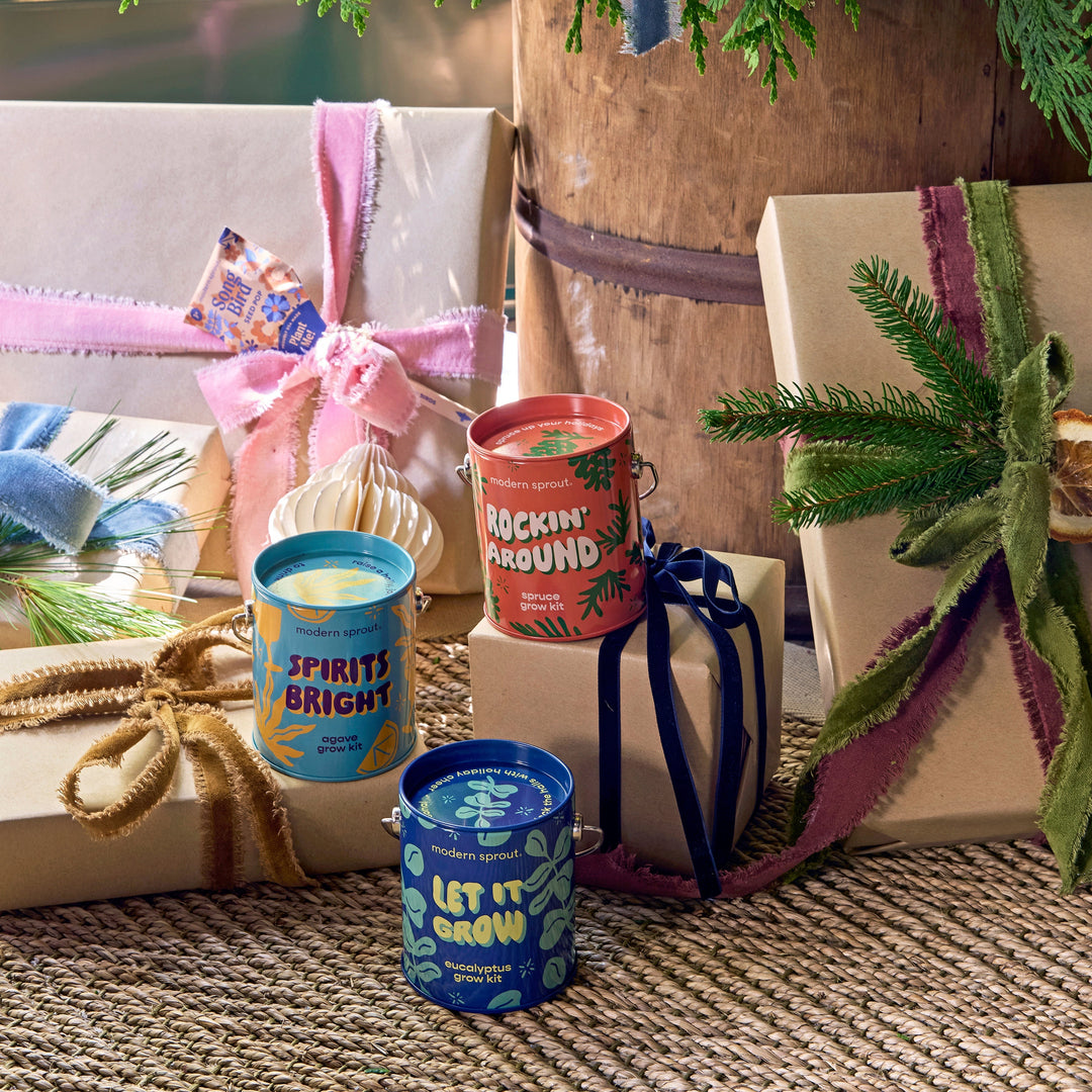 Seasonal Complimentary Colors Grow Kits Modern Sprout Indoor Garden Kit Seasonal Complimentary Colors Grow Kits Bonjour Fete - Party Supplies