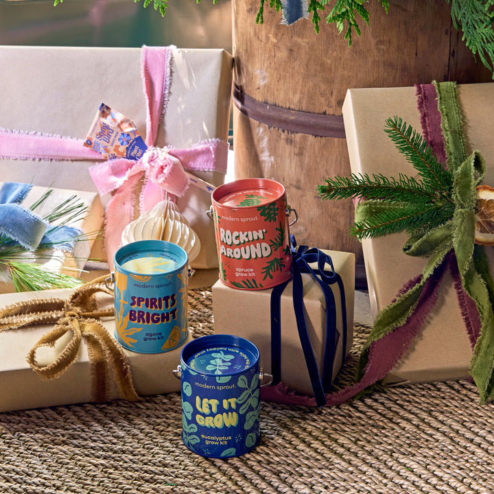 Seasonal Complimentary Colors Grow Kits Modern Sprout Indoor Garden Kit Seasonal Complimentary Colors Grow Kits Bonjour Fete - Party Supplies