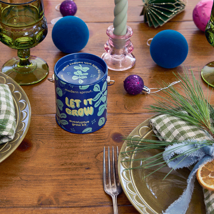 Seasonal Complimentary Colors Grow Kits Modern Sprout Indoor Garden Kit Seasonal Complimentary Colors Grow Kits Bonjour Fete - Party Supplies