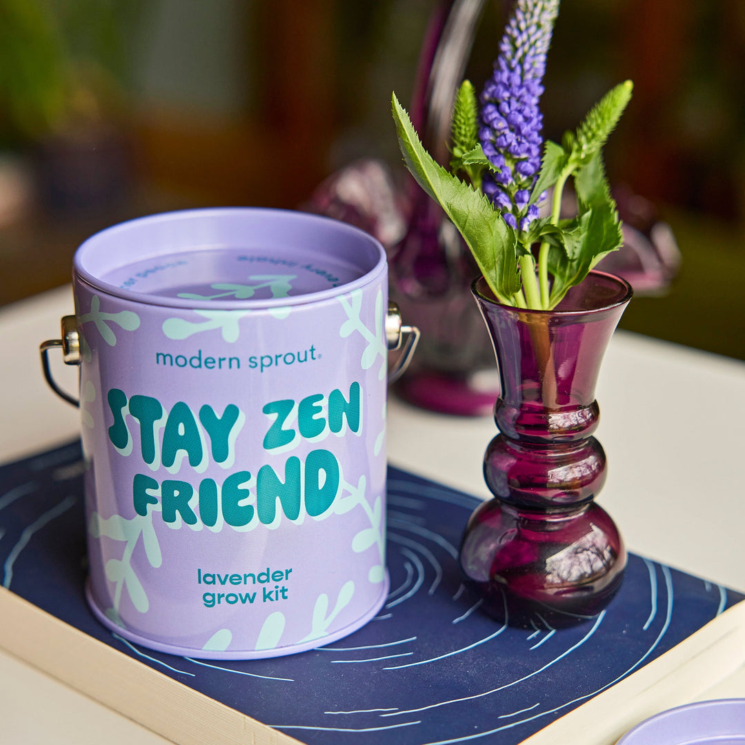 Complimentary Colors Grow Kits Modern Sprout Indoor Garden Kit Complimentary Colors Grow Kits Bonjour Fete - Party Supplies