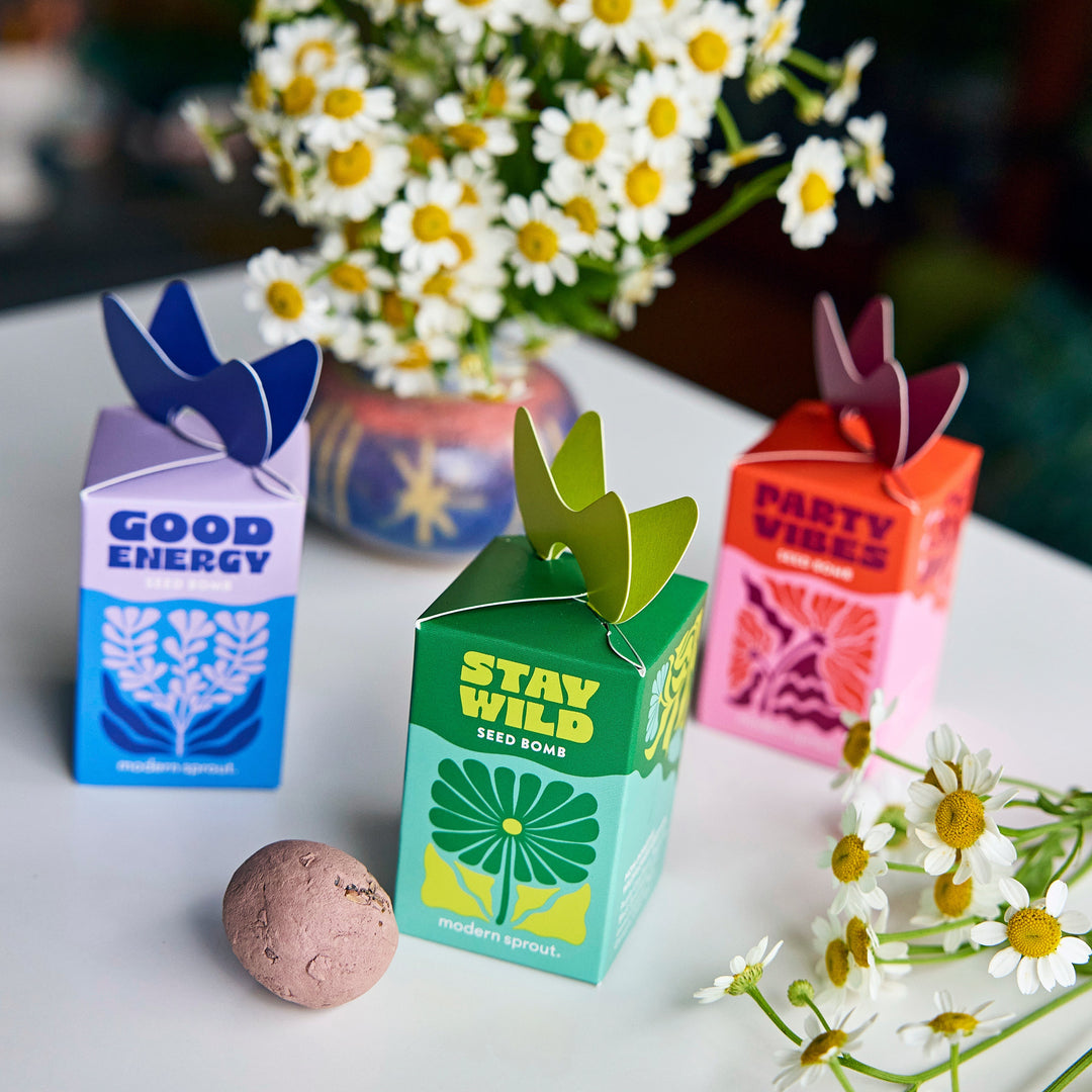 Seed Bombs Modern Sprout Playful Planting Seed Bombs Bonjour Fete - Party Supplies