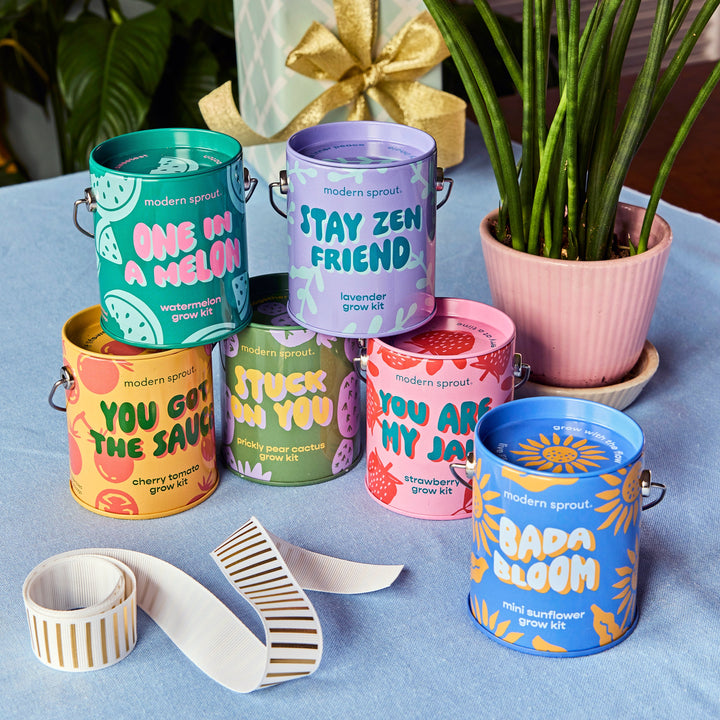 Complimentary Colors Grow Kits Modern Sprout Indoor Garden Kit Complimentary Colors Grow Kits Bonjour Fete - Party Supplies