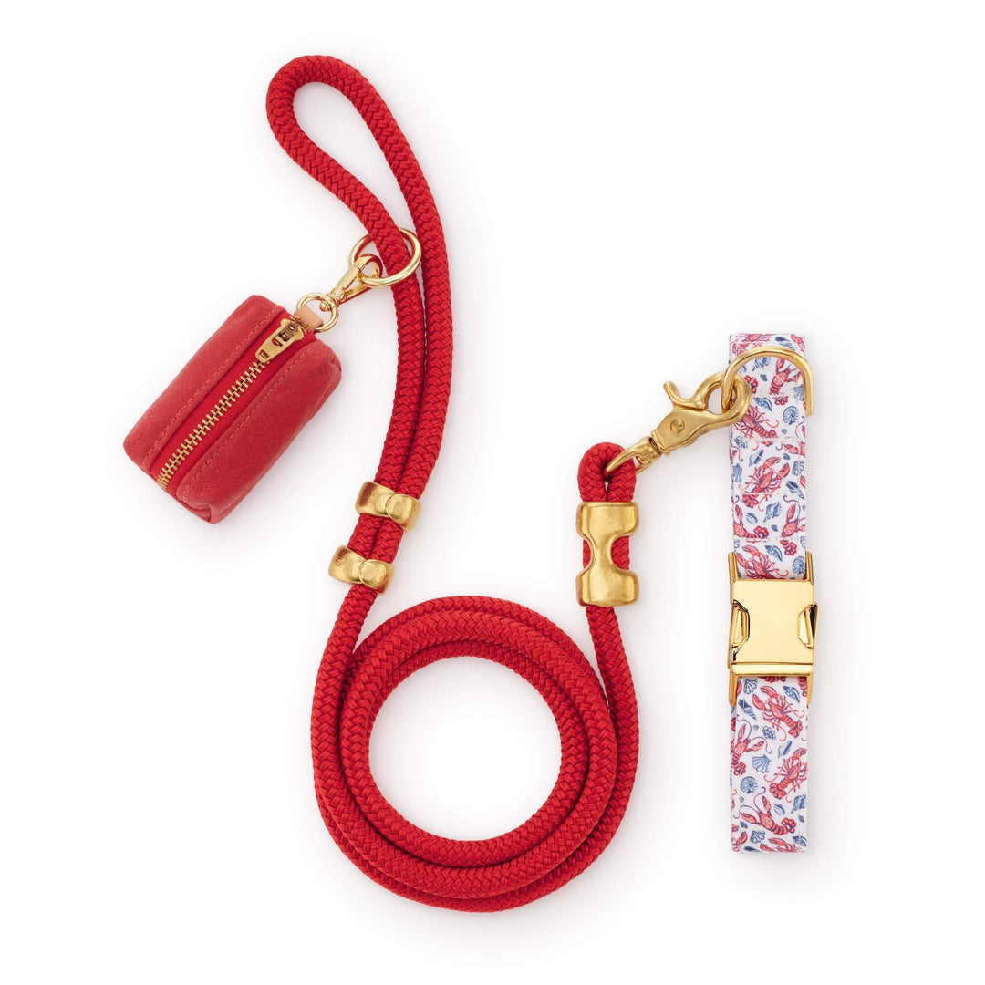 Printfresh Lobster Landing dog collar and matching leash walk set