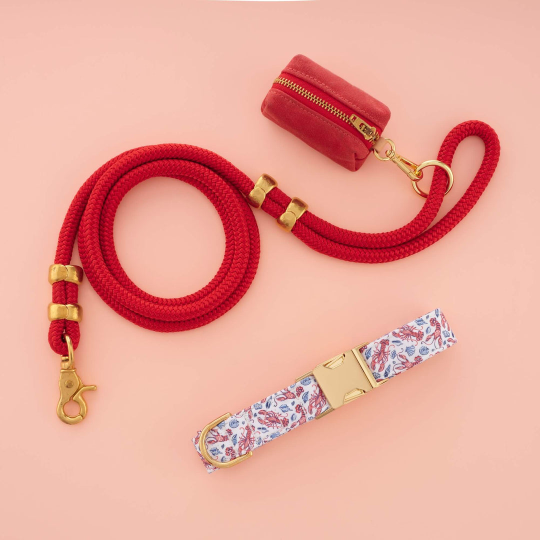 Lobster Landing collar and leash set shown in its colorway