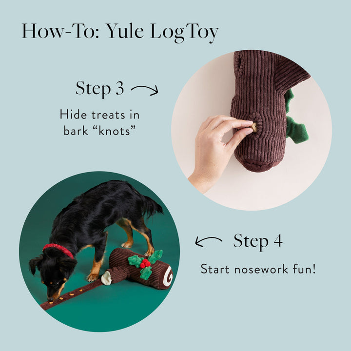 How-to graphic: hide treats in the bark knots, then start nose work