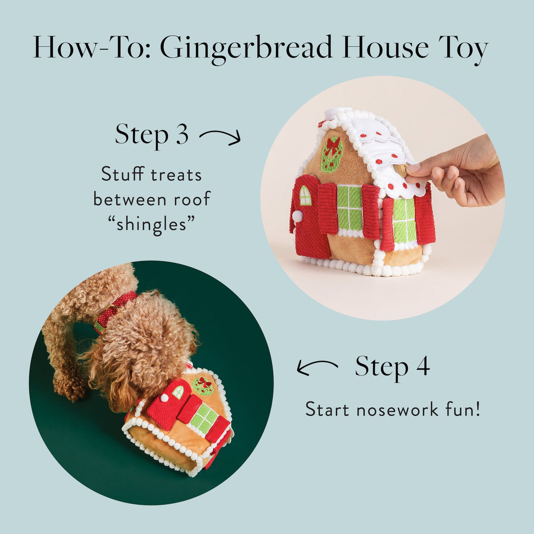 Gingerbread house how-to: stuff treats between the roof shingles, then start nose work