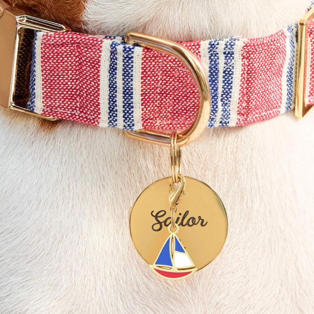 Striped dog collar styled with the anchor charm