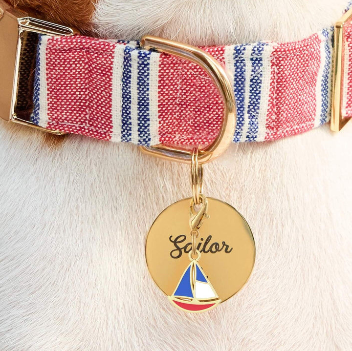 Striped dog collar styled with the anchor charm