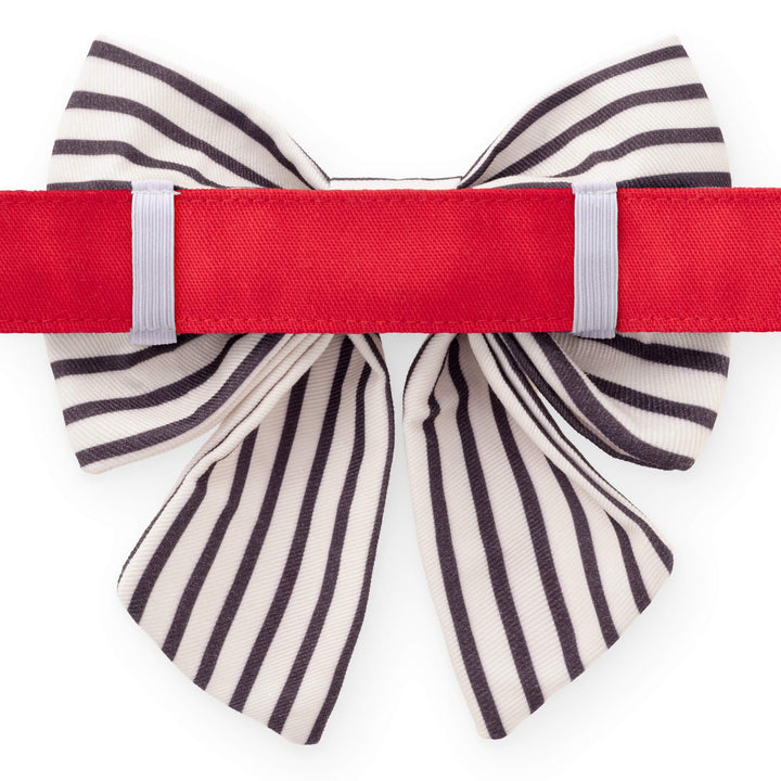 Back of the anchor lady bow dog collar with elastic bow loops