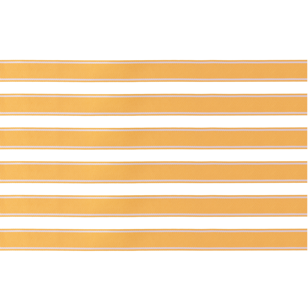 Orange Grosgrain Ribbon- Bonjour Fete Party Supplies