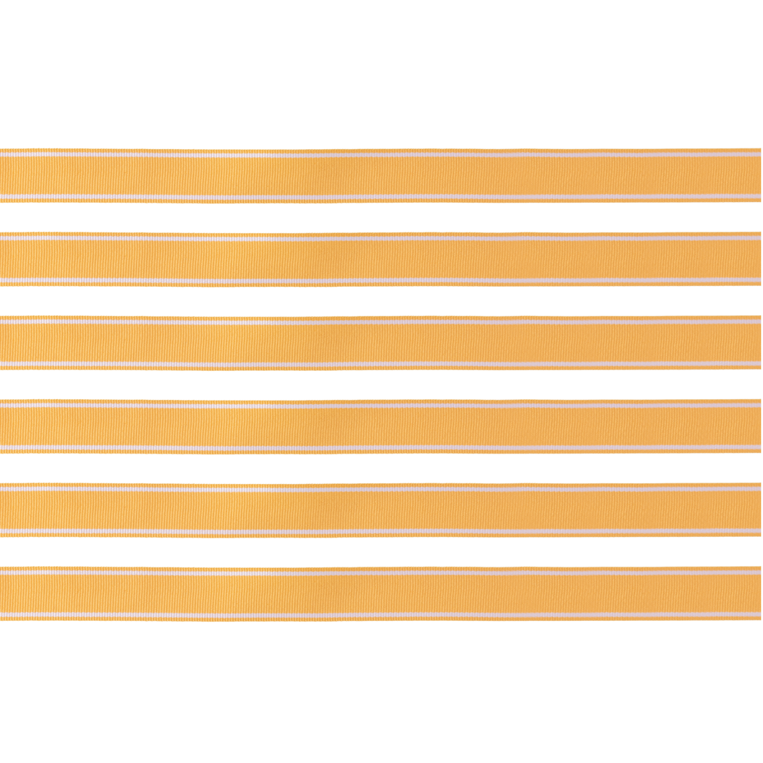 Orange Grosgrain Ribbon- Bonjour Fete Party Supplies