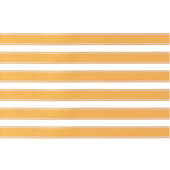 Orange Grosgrain Ribbon- Bonjour Fete Party Supplies