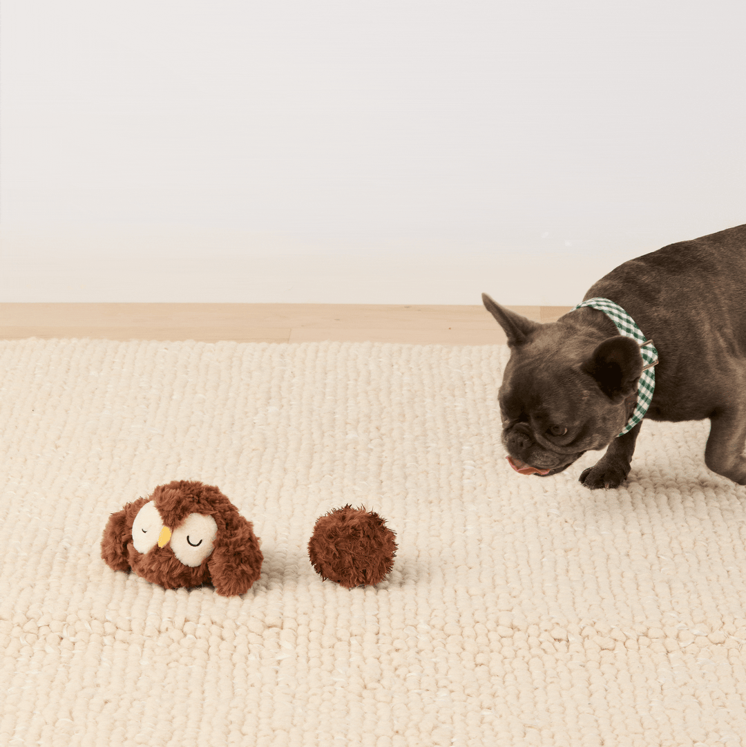 Owl 2-in-1 Bounce Dog Toy