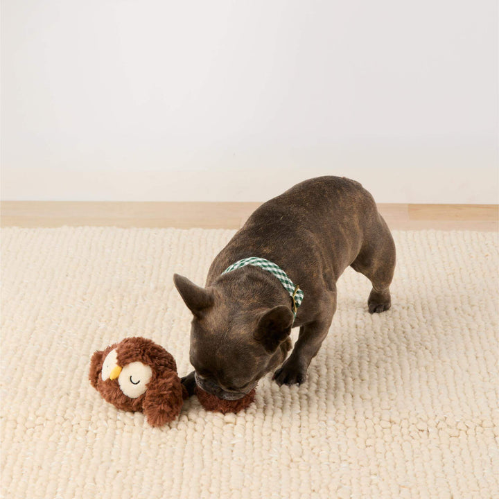 Owl 2-in-1 Bounce Dog Toy