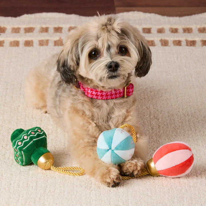 Small shaggy dog in a pink collar sitting on a cream rug with the three ornament toys