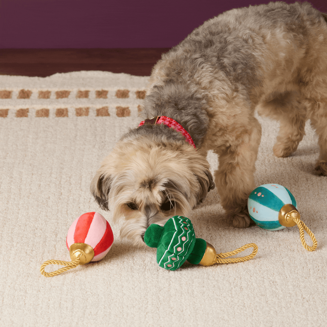 Animated clip of a small dog sniffing the striped ornament toys on a cream rug