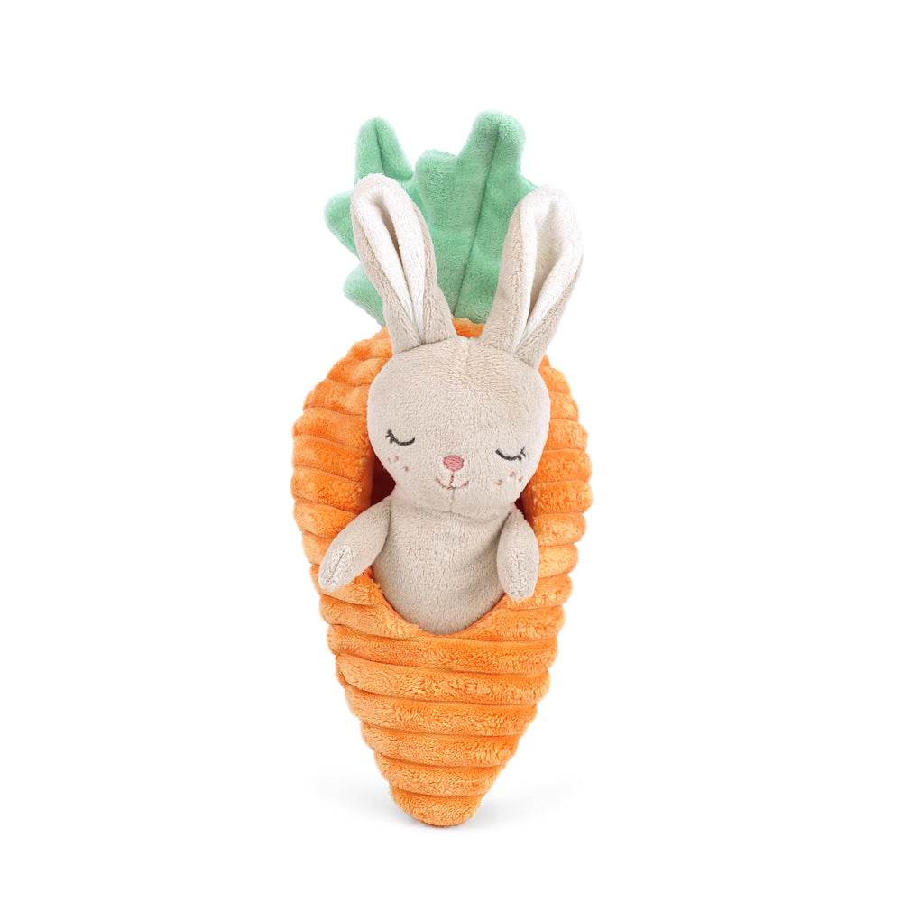 Bunny in Carrot Activity Toy MON AMI ACTIVITY TOYS Bunny in Carrot Activity Toy Bonjour Fete - Party Supplies