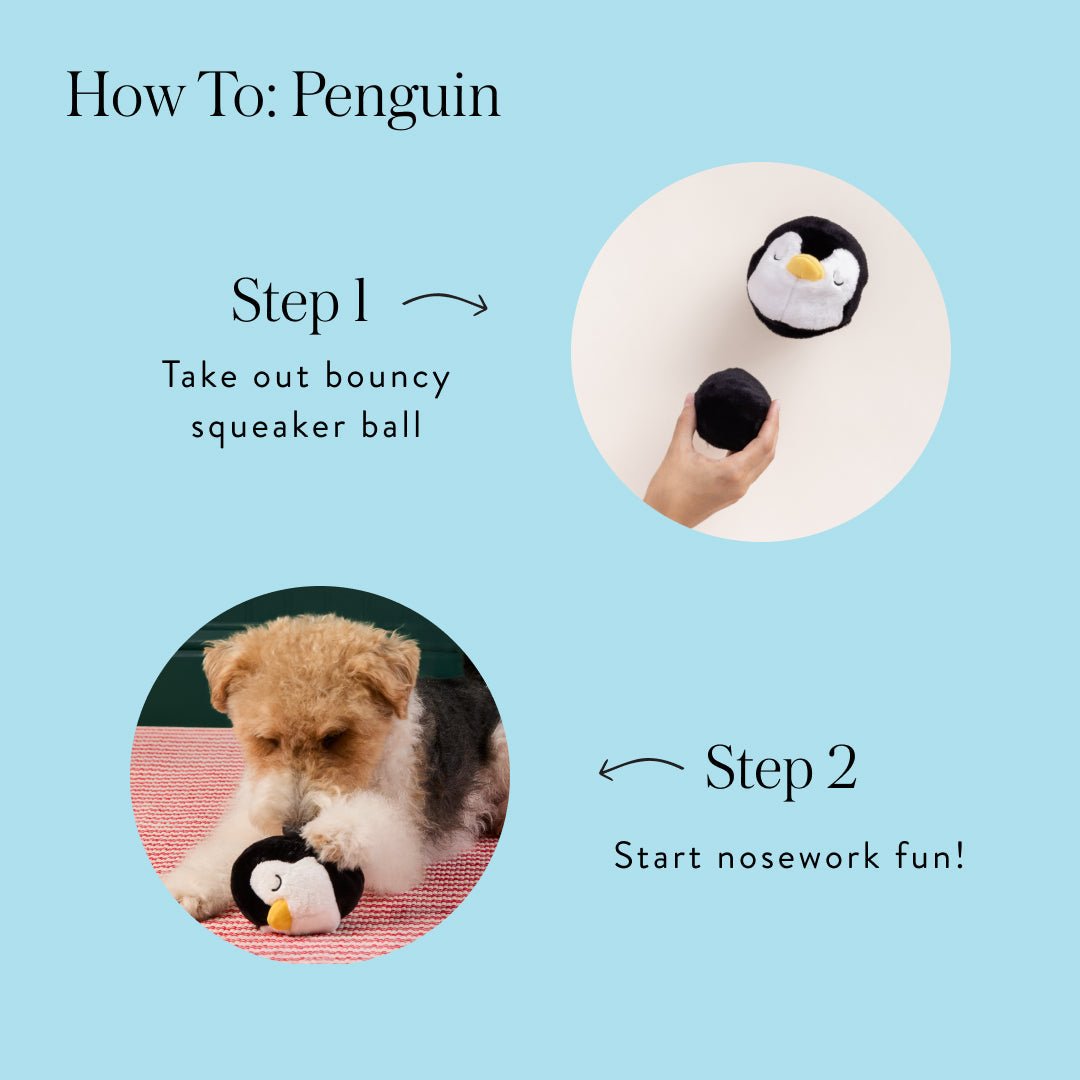 Penguin dog toy instructions showing removal of the squeaker ball and a terrier playing with the plush shell.