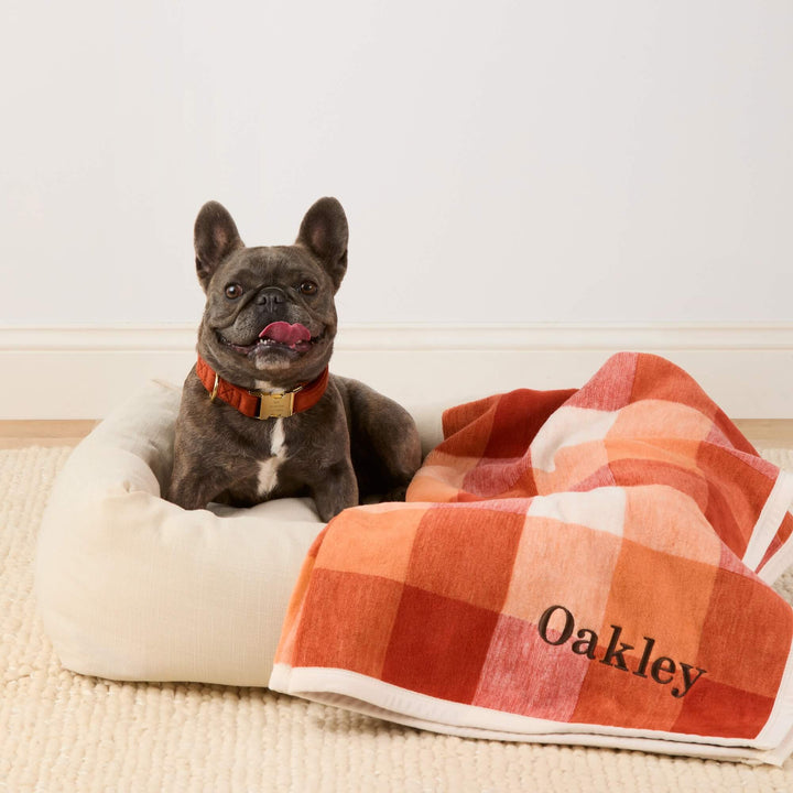 ChappyWrap x TFD Pumpkin Spice Plaid Dog Blanket