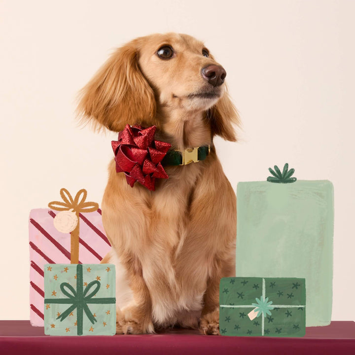 Golden long-haired dog wearing a red glitter gift bow on a green velvet collar among pastel wrapped presents.