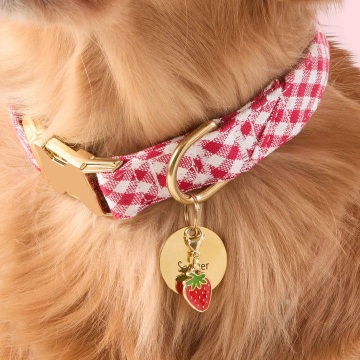 Strawberry Patch Collar Charm Set