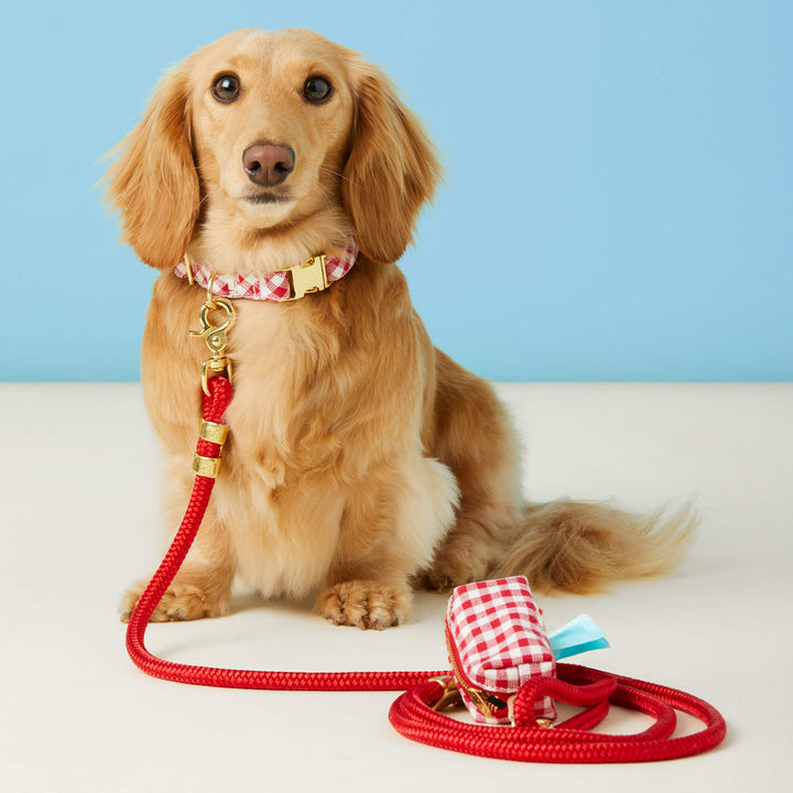 Red Gingham Collar Walk Set