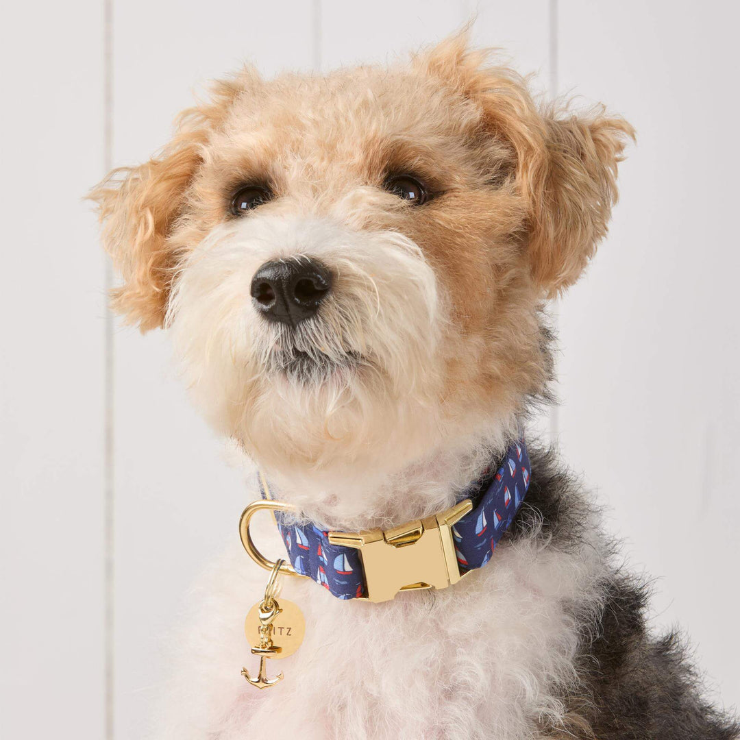 Regatta Dog Collar - Bonjour Fête 