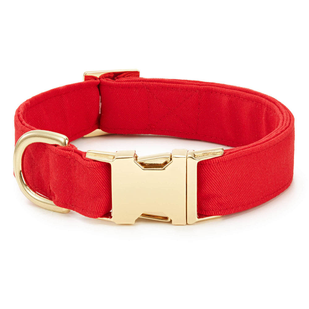 Dog wearing the anchor embroidered lady bow collar