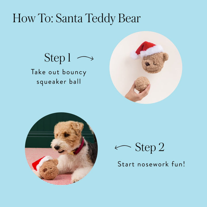 How-to graphic: take out the bouncy squeaker ball, then start nose work
