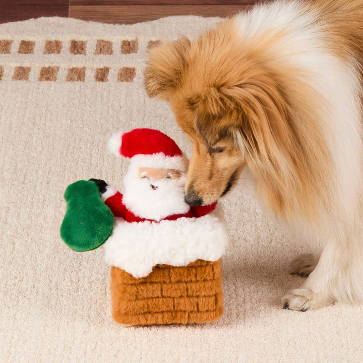 Long-haired brown-and-white dog sniffing the Santa toy seated in its snowy plush chimney.