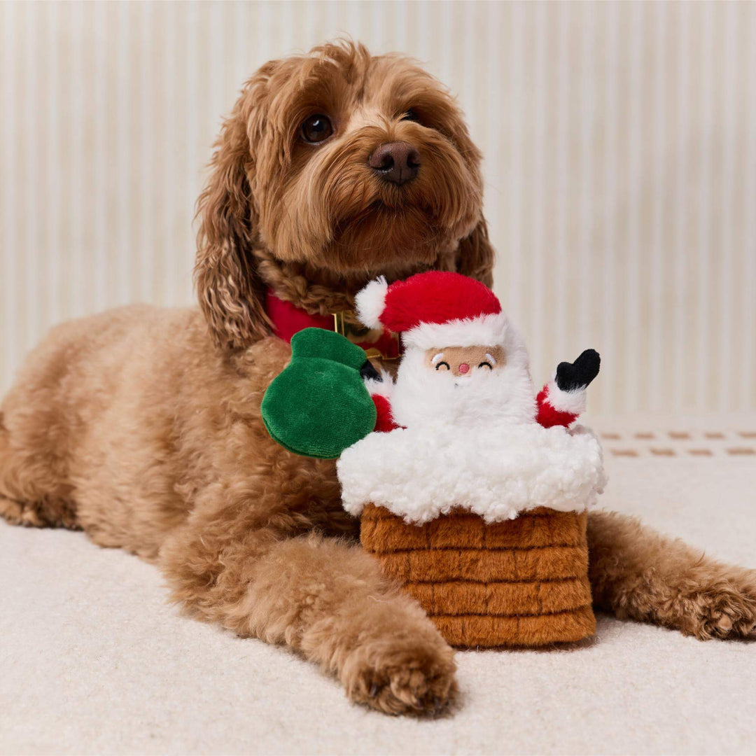 Curly brown dog resting behind a plush Santa-in-chimney toy with green sack.
