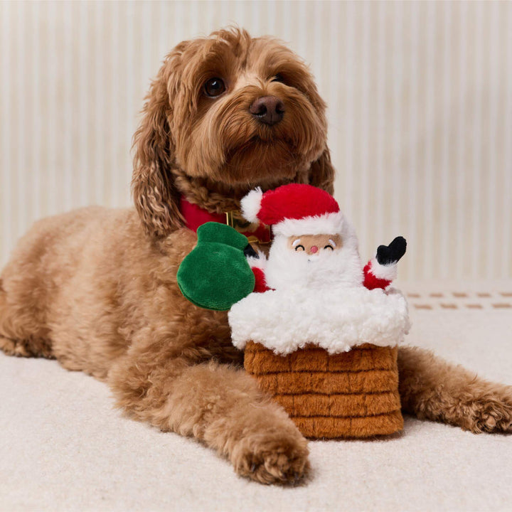 Curly brown dog resting behind a plush Santa-in-chimney toy with green sack.