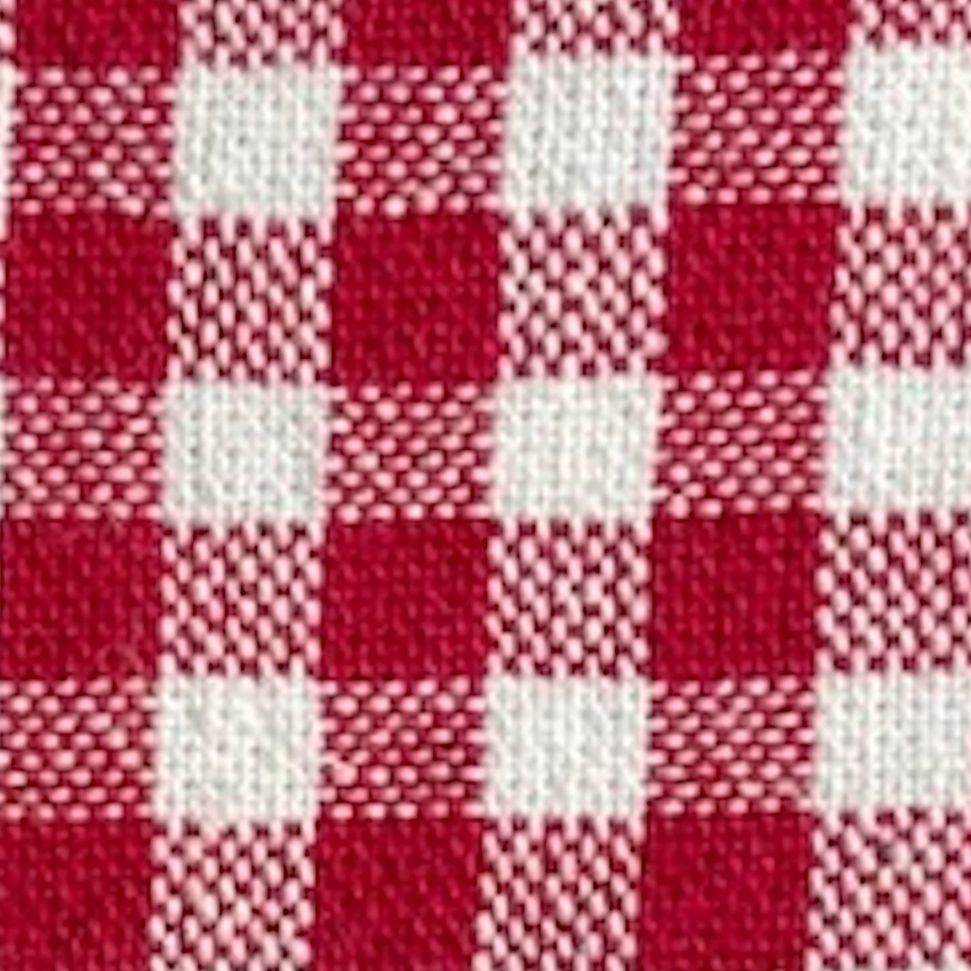 Red Gingham Collar Walk Set