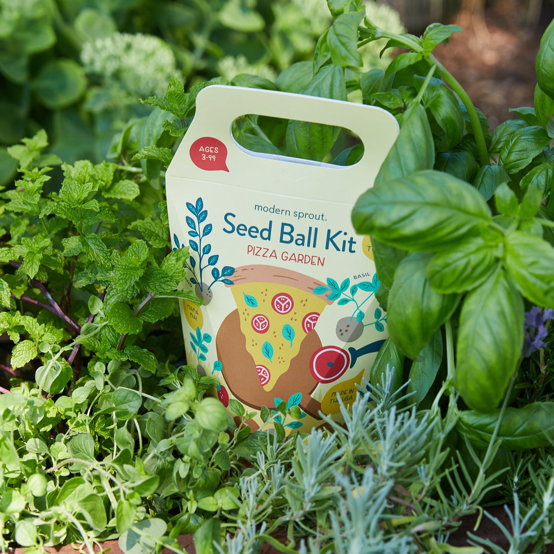 Seed Ball Kits Modern Sprout Playful Planting Seed Ball Kits Bonjour Fete - Party Supplies