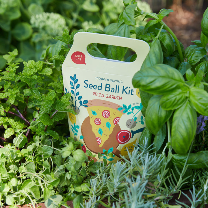Seed Ball Kits Modern Sprout Playful Planting Seed Ball Kits Bonjour Fete - Party Supplies