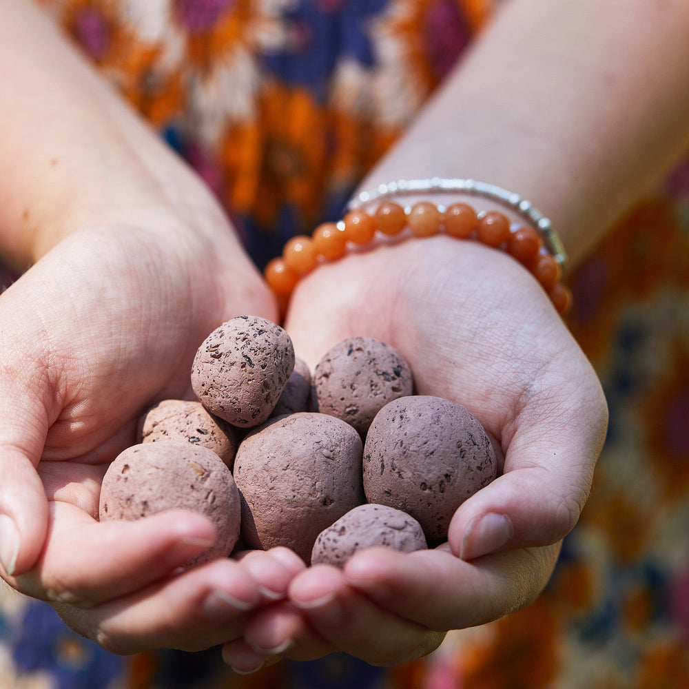 Seed Bombs Modern Sprout Playful Planting Seed Bombs Bonjour Fete - Party Supplies